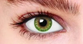 Green Tone 3 Contact Lenses (90 days)