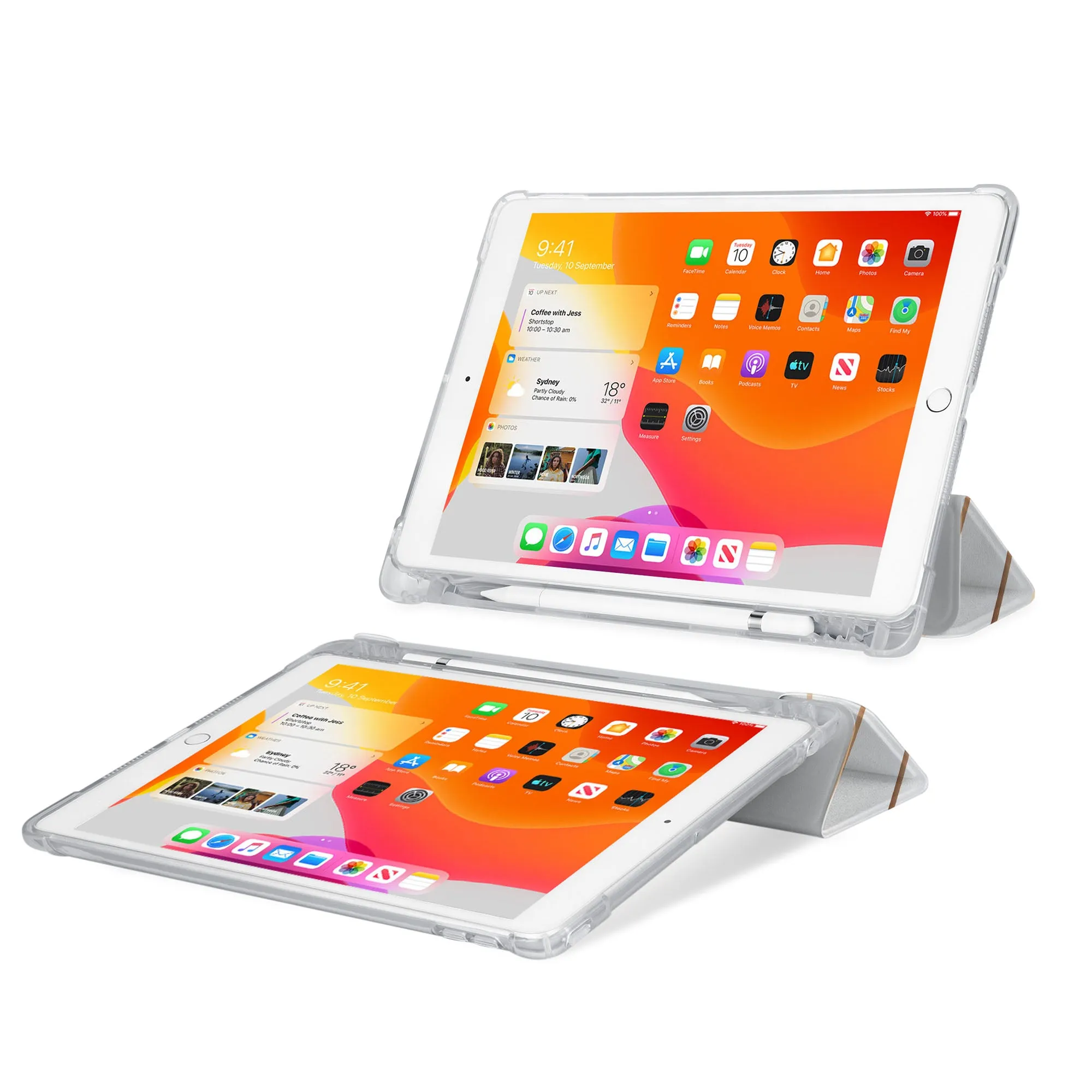 iPad SeeThru Case - Luxury