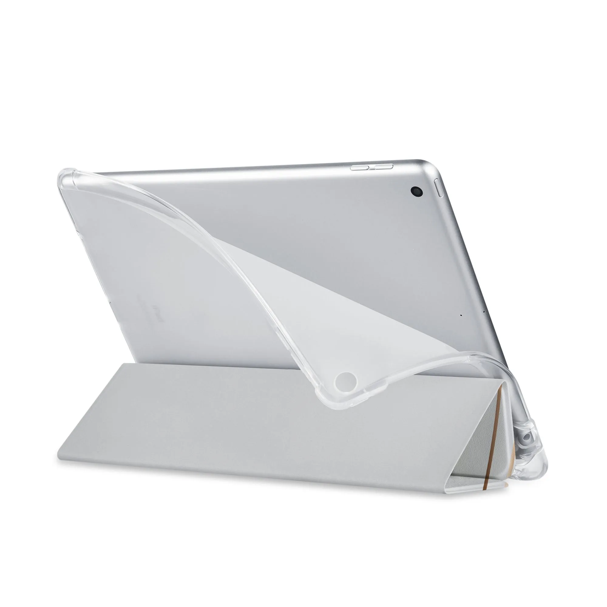iPad SeeThru Case - Luxury