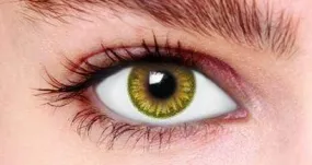Jade Green Tone 3 Contact Lenses (90 days)