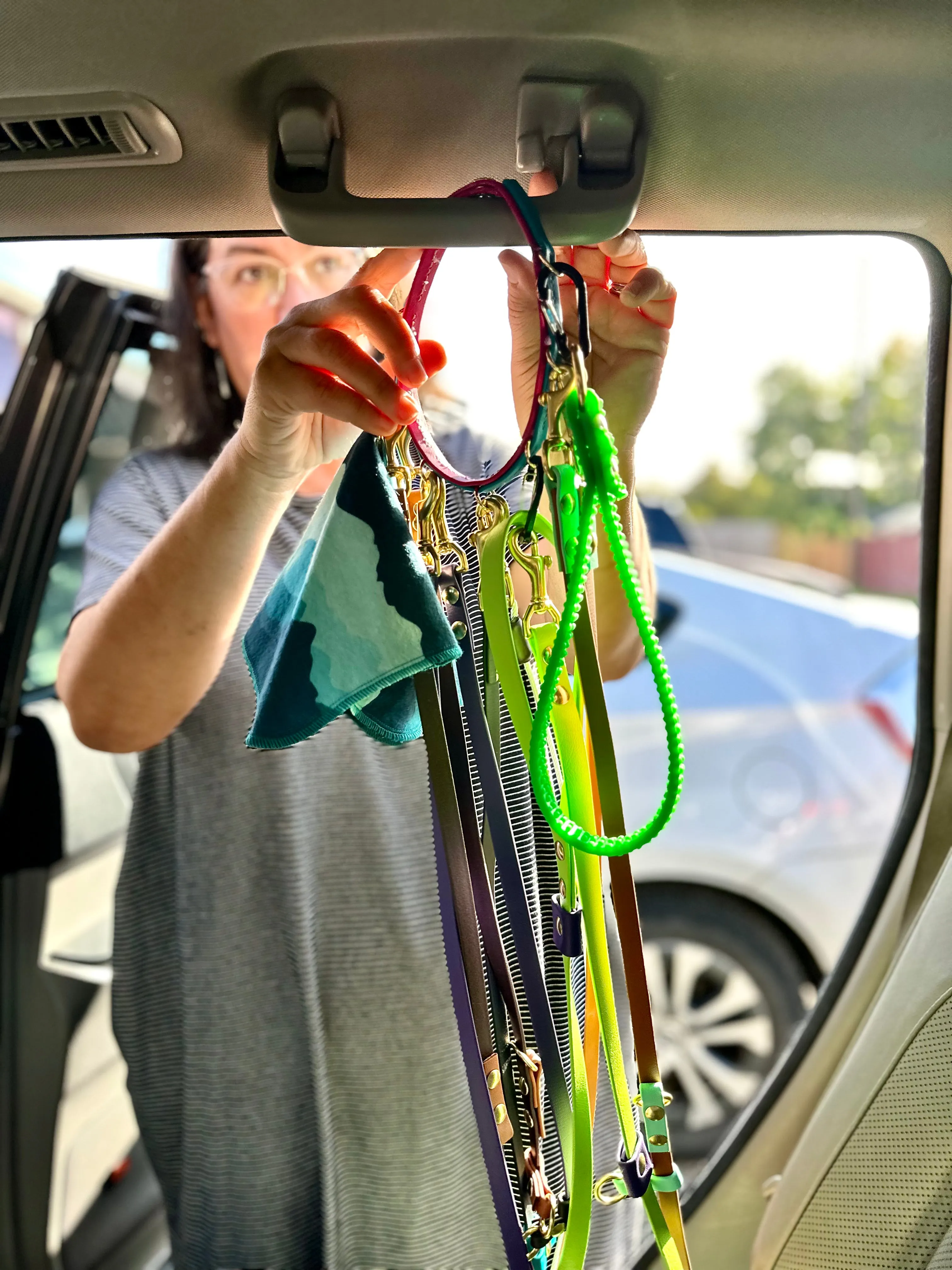 Leash Organizer