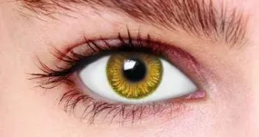 Pure Hazel Tone 3 Contact Lenses (90 days)